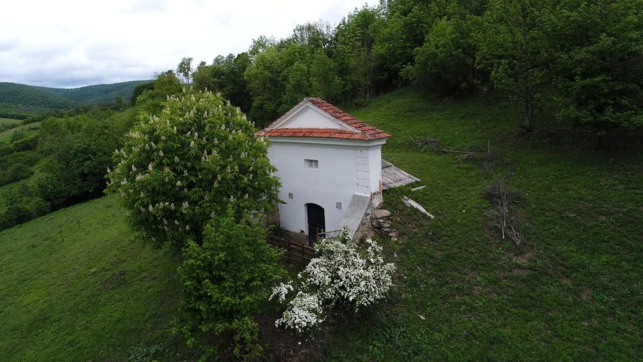 Гостевой дом Gaál Kúria Dalnic
